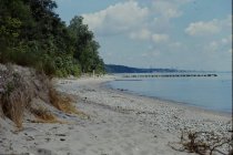 View north along the beach
